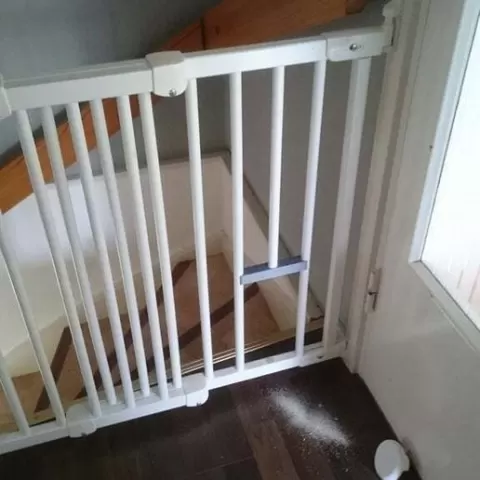 Child gate vs Old cat