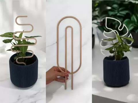 Simple Plant Support