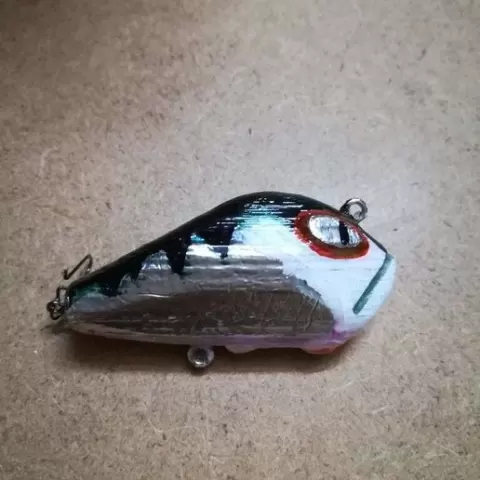 Spinnertail