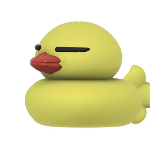 Ahiru Duck (rubber duck)