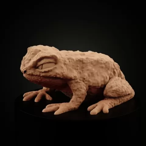 Frogfolk: Giant Toad