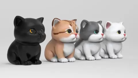 Cute Kittens