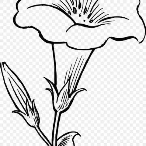 Stencil_Tulip