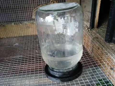 Chick or Quail Waterer