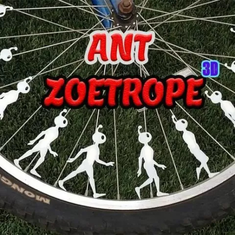 ANT ZOETROPE - Bicycle