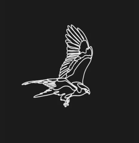 Black Kite 2 lineart 3d printed