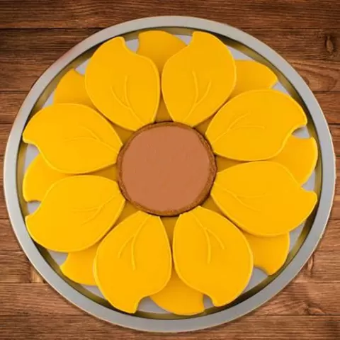 Sunflower Cookie Platter 2 pc Set