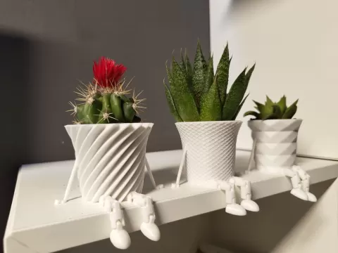 Mini cactus family flowerspot