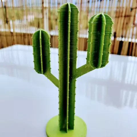 Office cactus