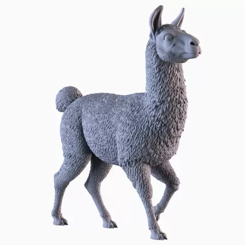 Llama