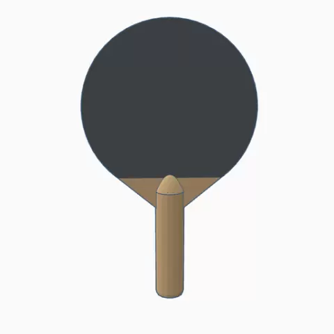 Pingpong paddle