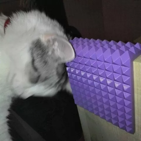 Cat Scratcher