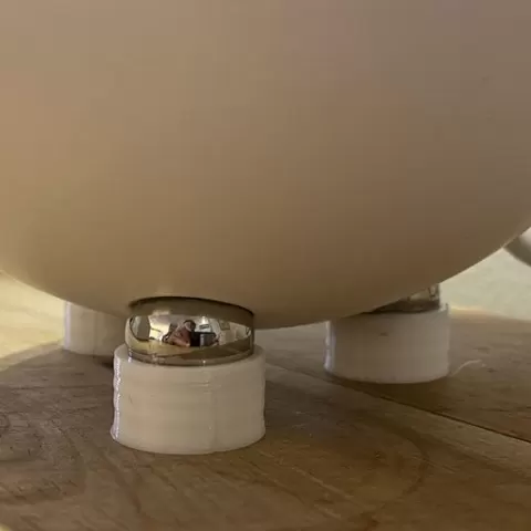 Homey Feet