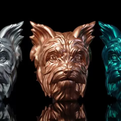 Yorkshire terrier
