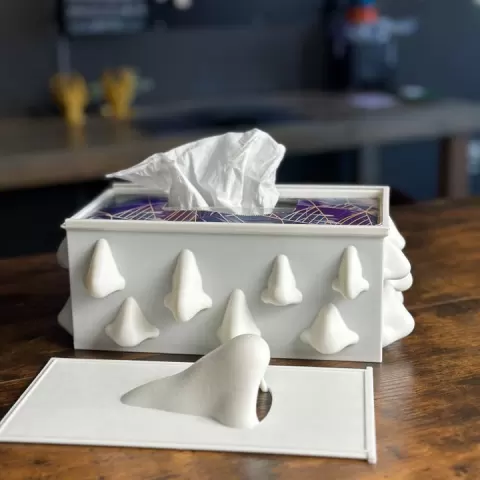 Nosey Tissue Box by CraftyKid3D