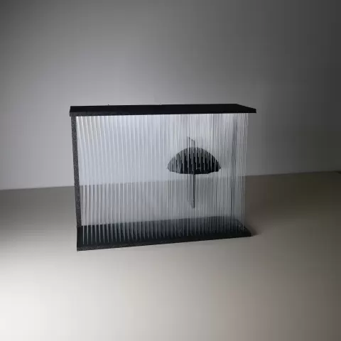 Umbrella in a Rain Shower