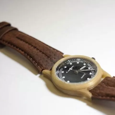 Wrist Watch Casing