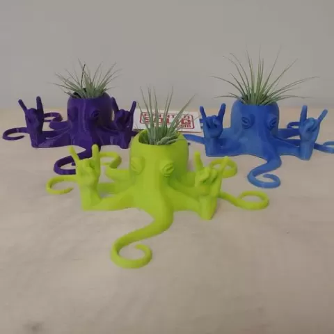 Rock2Pus Planter