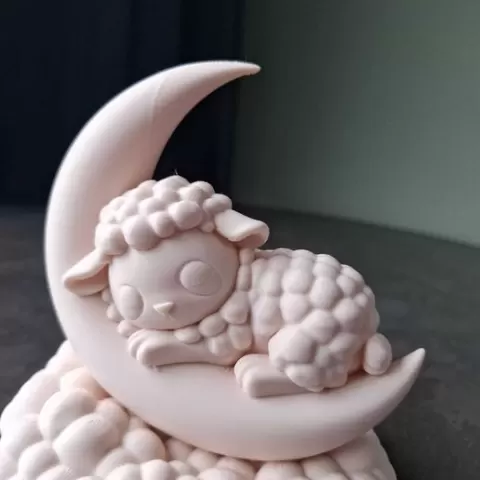 Sleeping Lamb on Moon