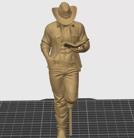 Cowboy Reader