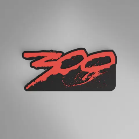 300 LOGO