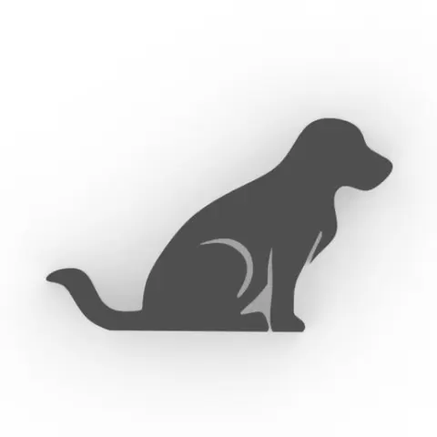 dog phone holder