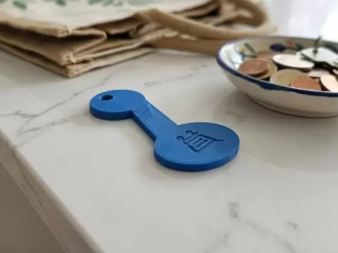 Removable shopping cart coin