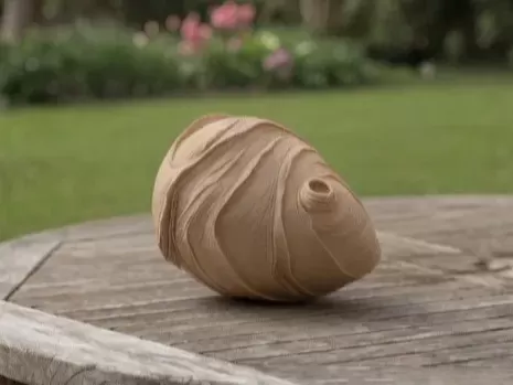 Anti-Wasp Nest