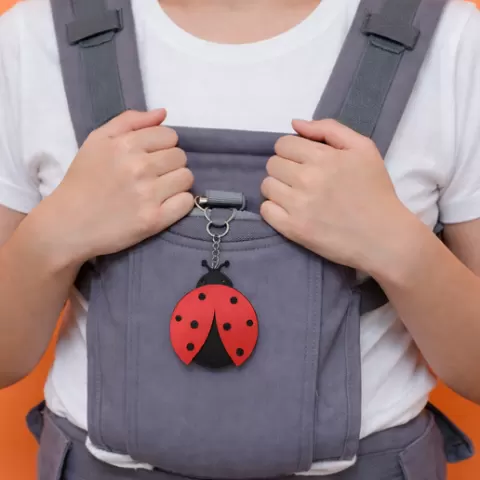 ladybird