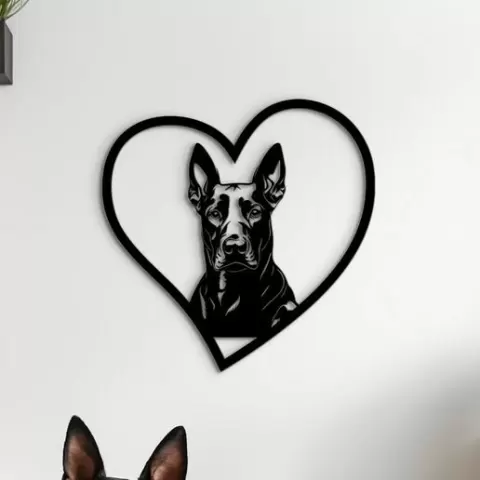 Doberman heart