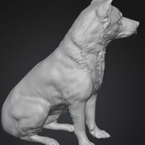 Japanese Akita Inu - Faithful and Detailed Animal Sculpture