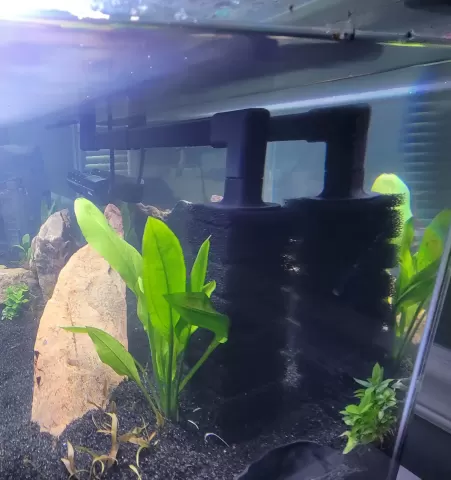 Marineland Bio-Wheel intake tubing and large Marineland prefilter adaptation