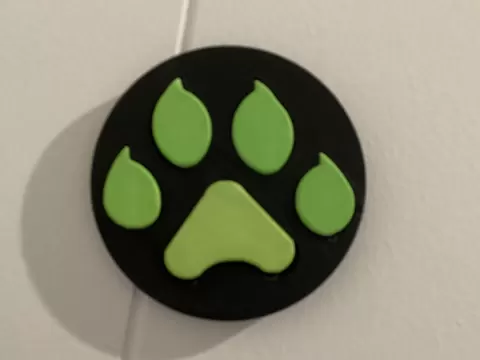 Miraculous Cat Noir Token
