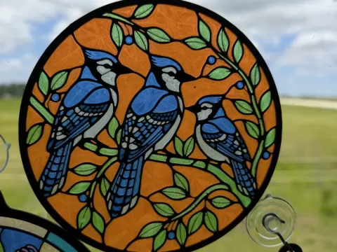Bluejay Sun Catcher
