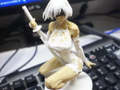 2B - Zen Warrior (Multicolor)