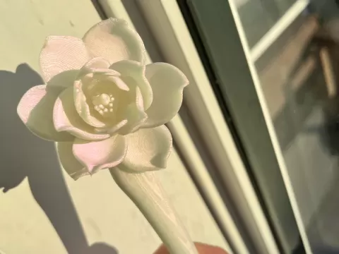 Chinese hair pin