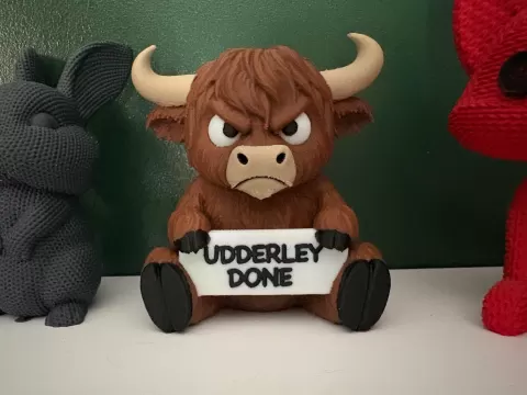 Cute But Grumpy Highland Cow