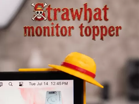ONE PIECE Monitor buddy