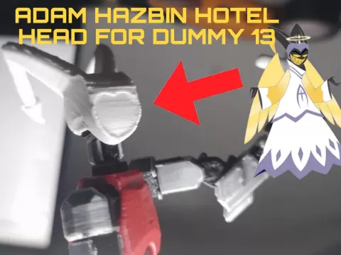 ADAM HABIN HOTEL HEAD FOR DUMMY 13