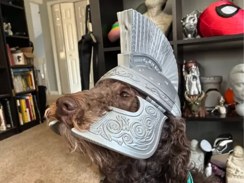 Spartan/Trojan War Dog Helmet – Fully Articulated