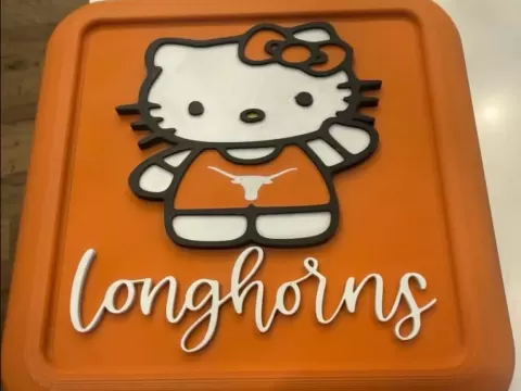 Hello Cat storage box