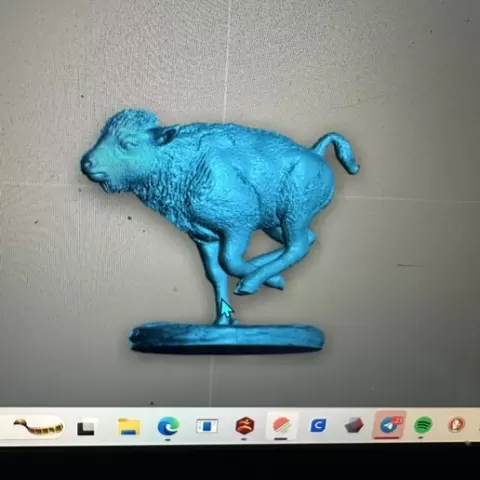 Buffalo Calf
