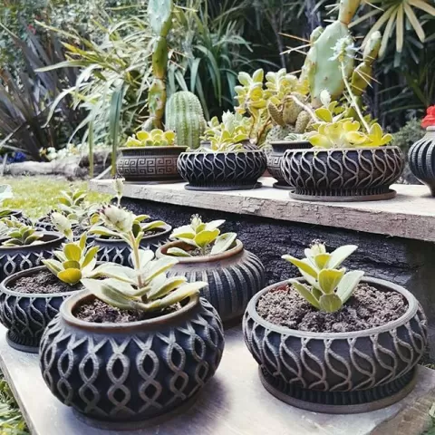 Suculent Planter / Maceta para Suculentas