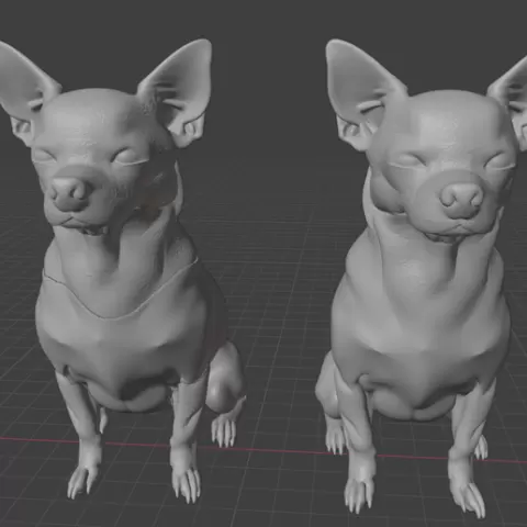 Chihuahua