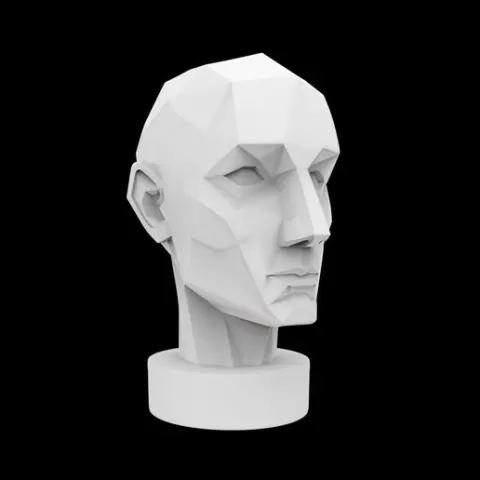 Geometric Head Bust