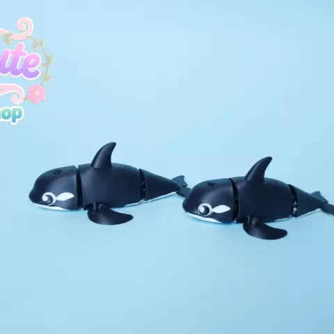 killer whale