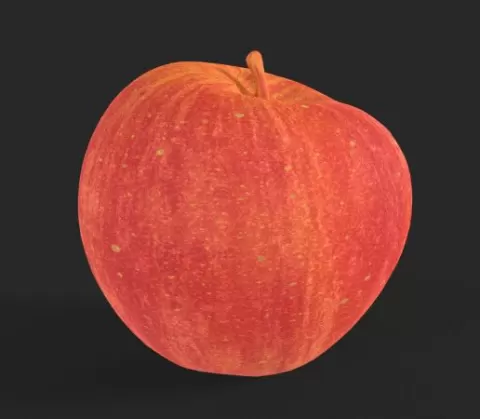 Realistic Red Apple