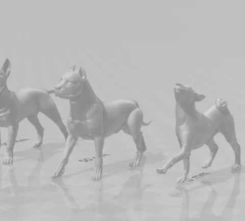 pack dogs