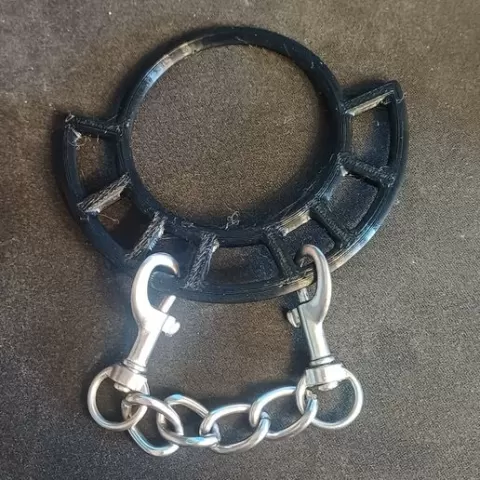 Cock ring with multiple attachment points