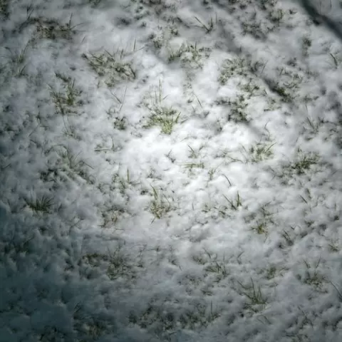 Snowy Ground PBR Texture